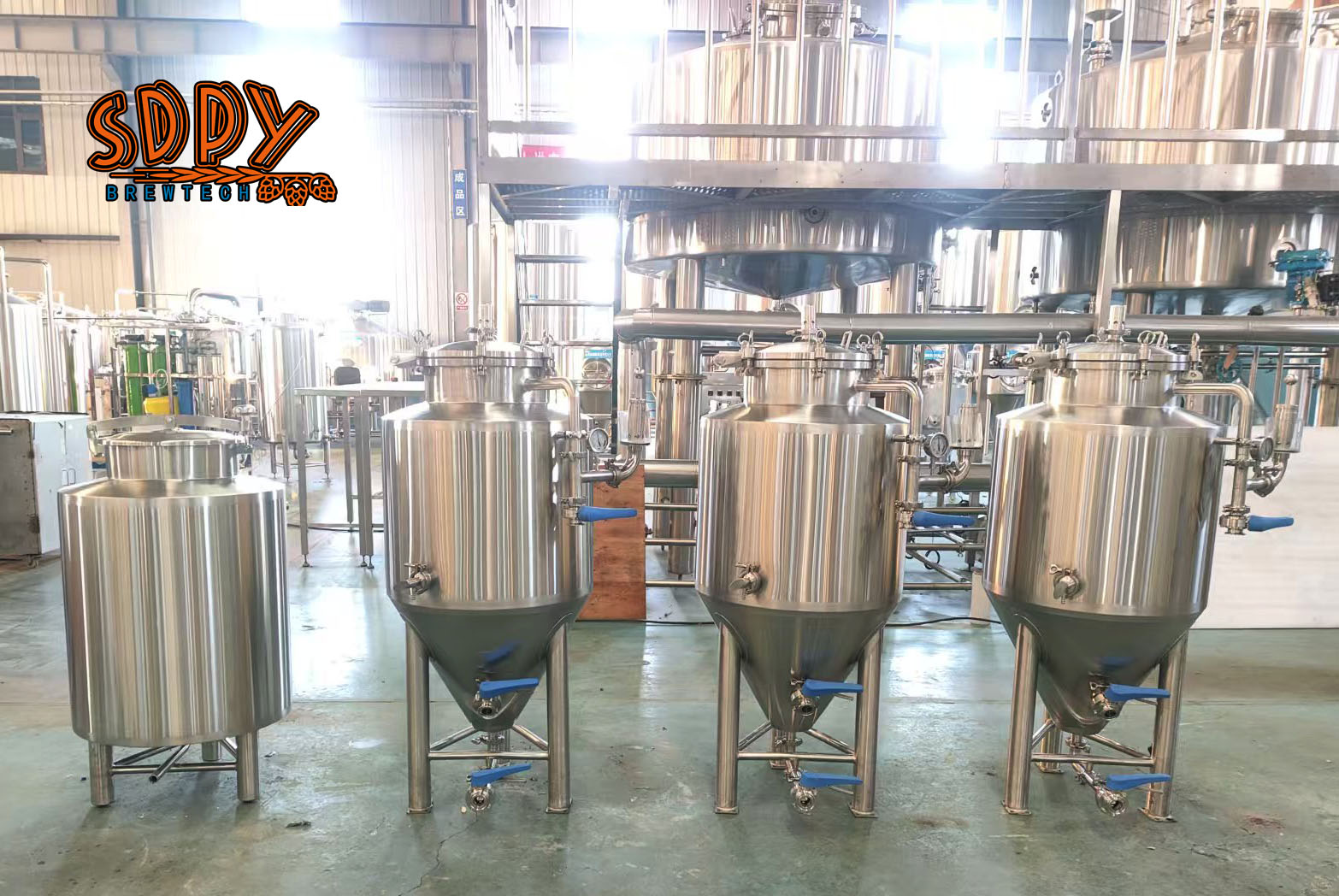 100l fermenting system