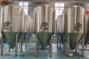 Fermentation tanks 3000L 
