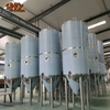 6000L&60HL&60BBL Fermentation tanks
