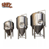 500L & 5HL & 5BBL fermenters