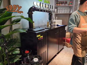 Kegerators, beer coolers, beer tower, taps