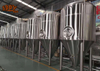 Fermentation tanks 3000L 