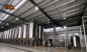 4000L&40HL&40BBL Fermentation tanks 