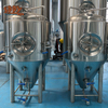 300L&3HL&3.5BBL BEER FERMENTERS