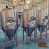500L & 5HL & 5BBL fermenters