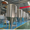 Beer Fermentation system 
