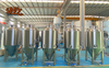 300L Microbrewery, 300L Pub brewery