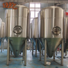 3000L&30HL&30BBL Fermentation tanks