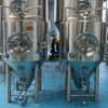 500L & 5HL & 5BBL fermenters