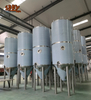 60BBL stainless steel beer fermenters