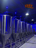 2500L&25HL&25BBL BEER FERMENTERS