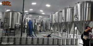 6000L&60HL&60BBL Fermentation tanks