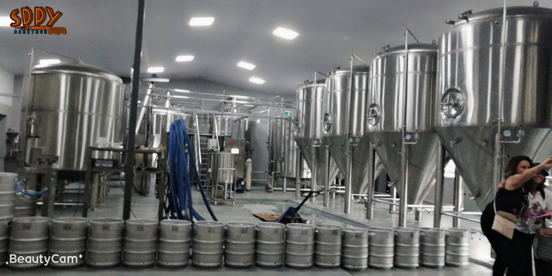 6000L&60HL&60BBL Fermentation tanks