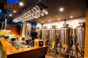 Complete Beer Brewing Equipment, beer brewing system