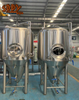 1600L Side Manhole Fermenter