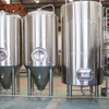 3000L&30HL&30BBL Fermentation tanks
