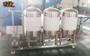 Cleaning in Place (CIP) cleaning system 100l 200l 300L etc