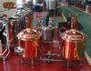 300L Microbrewery, 300L Pub brewery